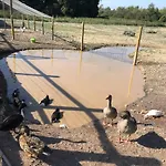 Dhotes A La Ferme Maison d'hôtes