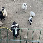 Maison d'hôtes Dhotes A La Ferme 3*
