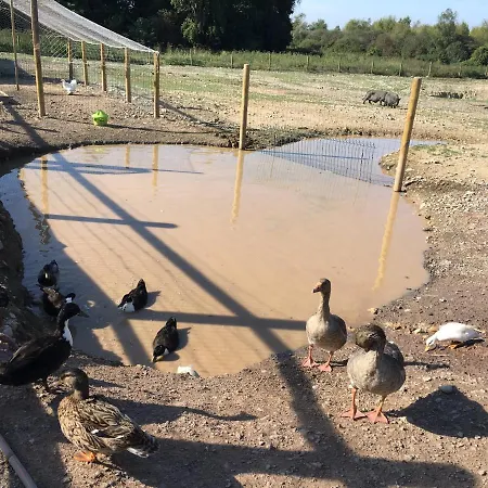 Dhotes A La Ferme 招待所