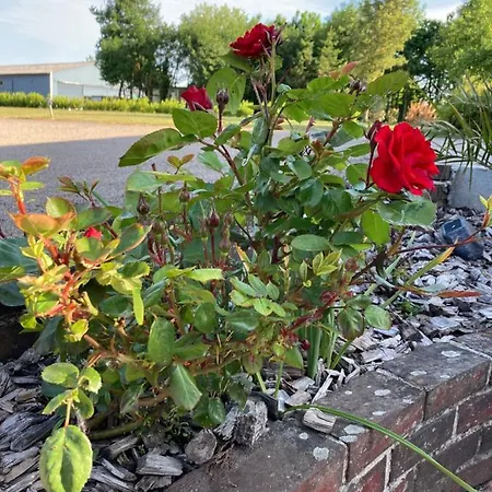 Dhotes A La Ferme Maison d'hôtes Forest-Montiers