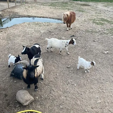 Maison d'hôtes Dhotes A La Ferme