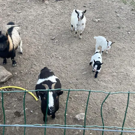 招待所 Dhotes A La Ferme 2*