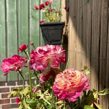 Maison d'hôtes Dhotes A La Ferme 3*