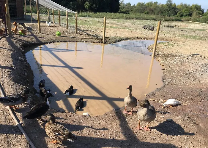 Dhotes A La Ferme Guest house
