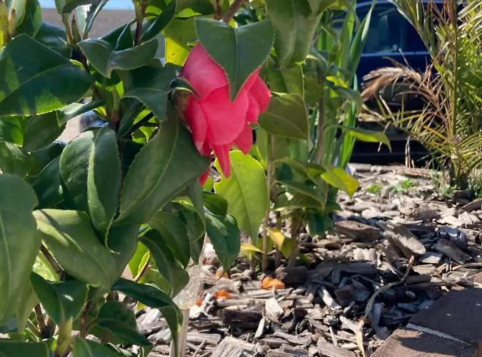 Dhotes A La Ferme Guest house Forest-Montiers