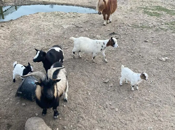 Guest house Dhotes A La Ferme
