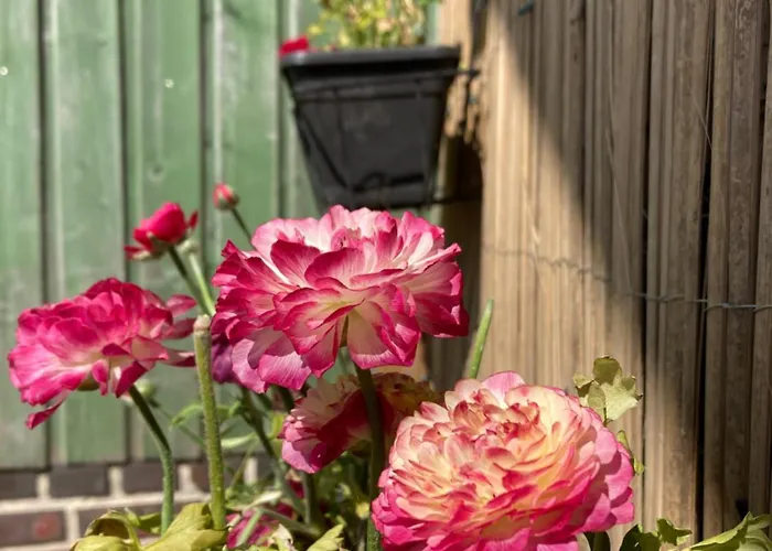 Guest house Dhotes A La Ferme 3*