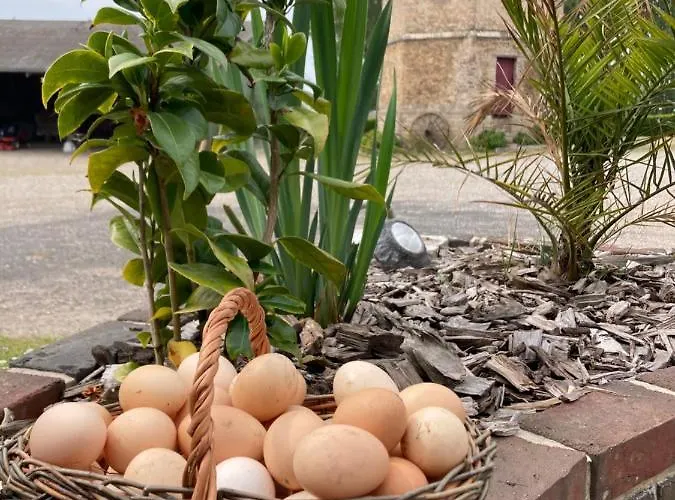 Guest house Dhotes A La Ferme Forest-Montiers