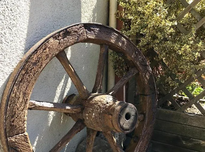 Dhotes A La Ferme Forest-Montiers